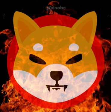 shiba yakım oranı