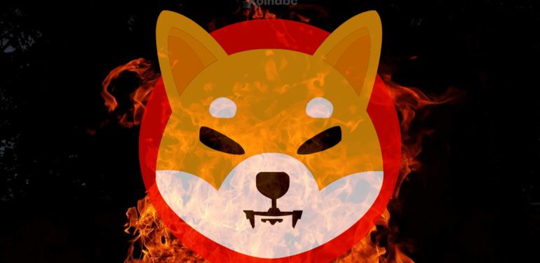 Shiba Inu Yakım Oranı %459 Oldu: Robinhood SHIB Artırmaya Devam Ediyor.