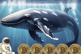 spot etf bitcoin balinası