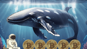 spot etf bitcoin balinası