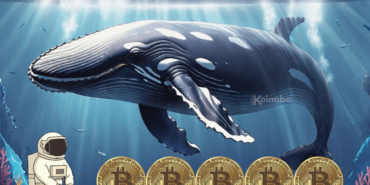 spot etf bitcoin balinası