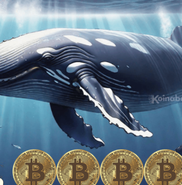 spot etf bitcoin balinası