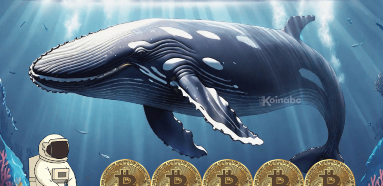 Bitcoin ETF Bu Balinaya Yaradı: 74 Milyon Dolar Kar Yaptı