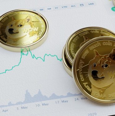 dogecoin geleceği