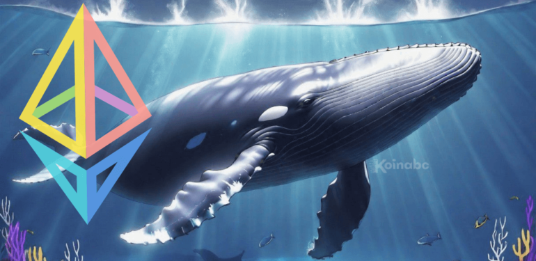 Herkes BTC’ye Odaklanmışken Balinadan Süpriz Hareket