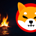 shiba inu yakım oranı