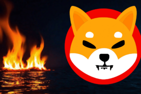 shiba inu yakım oranı