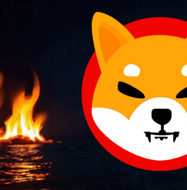 shiba inu yakım oranı