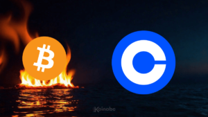 bitcoin ödeme desteği